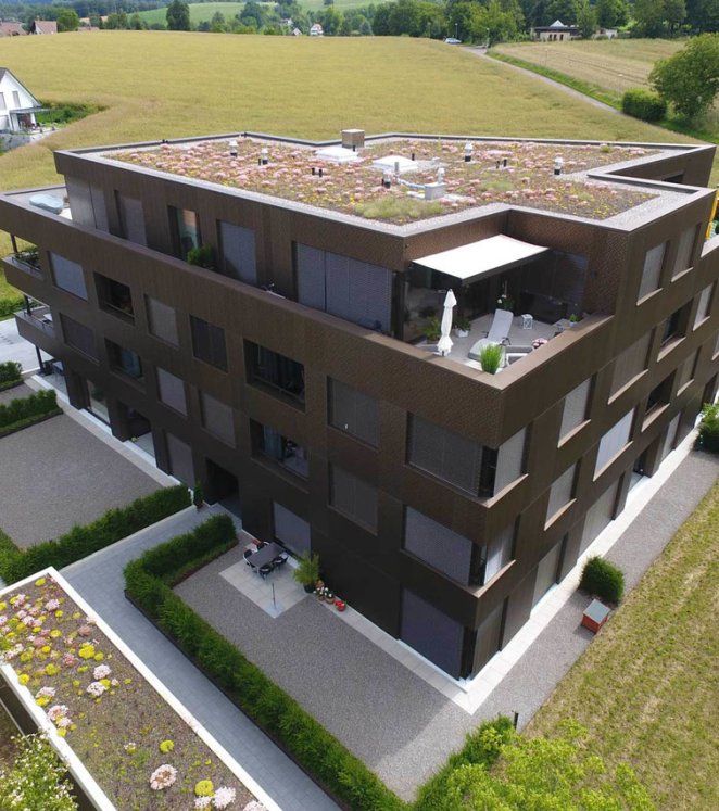 Dachbegrünungen Dachbegrünungen