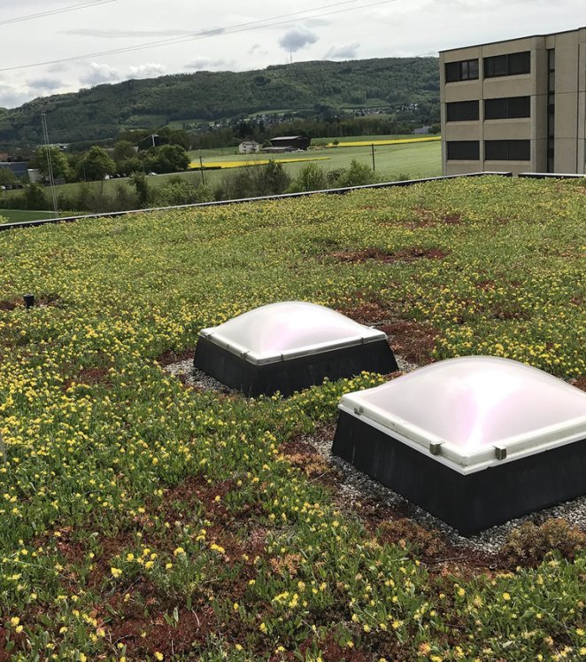 Flachdach grün Oblicht Begrüntes Flachdach mit Oblichtern