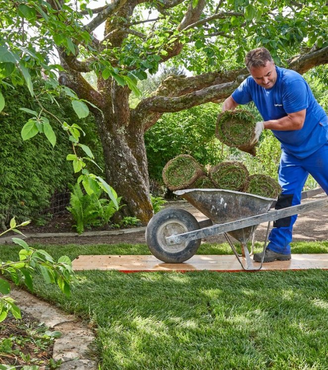 Rasen sanieren Rollrasen Rasen legen Rasen sanieren, Rollrasen legen