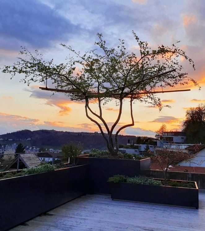 Impression fertige Terrasse