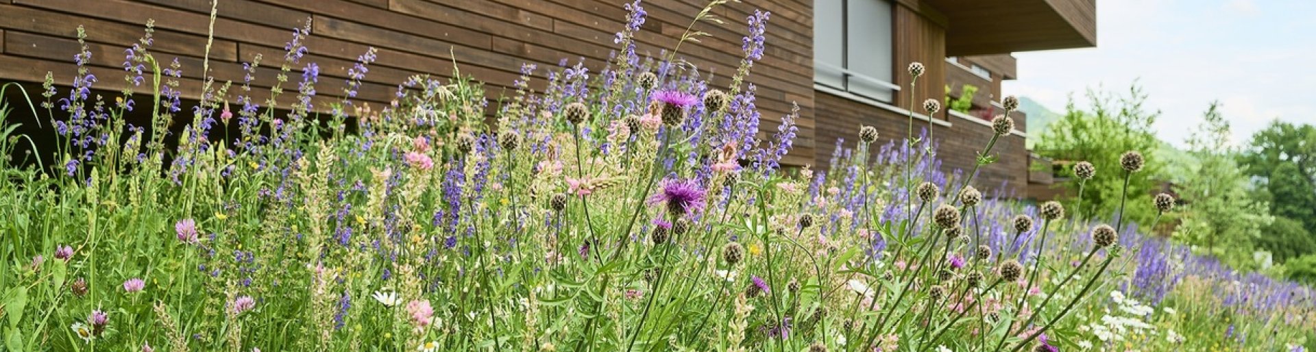 Gartenbau Gartenplanung Beratung