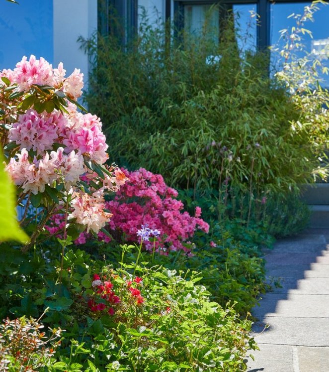 Garten Blumen und Stauden