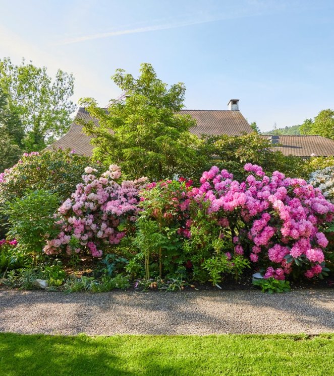 Garten mit Brunnen