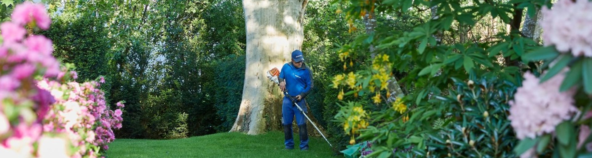 Gartenpflege Gartenunterhalt Gartenservice