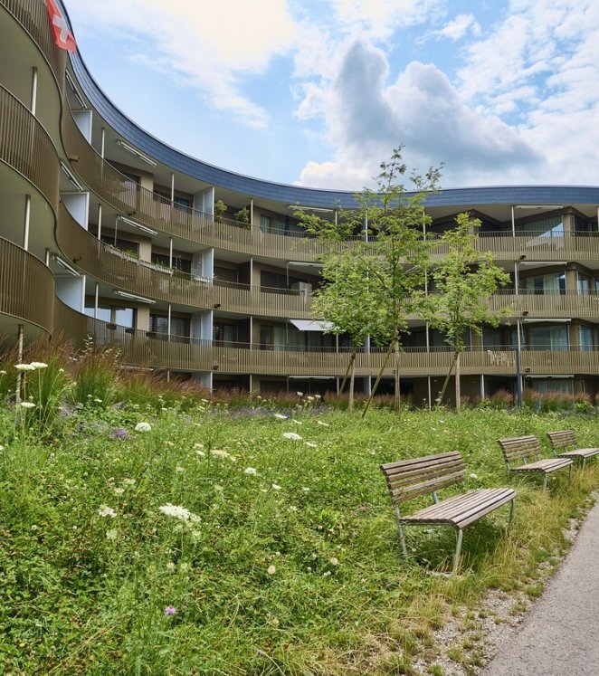 Blumenrasen mit Stauden und Vogelbeerbäumen