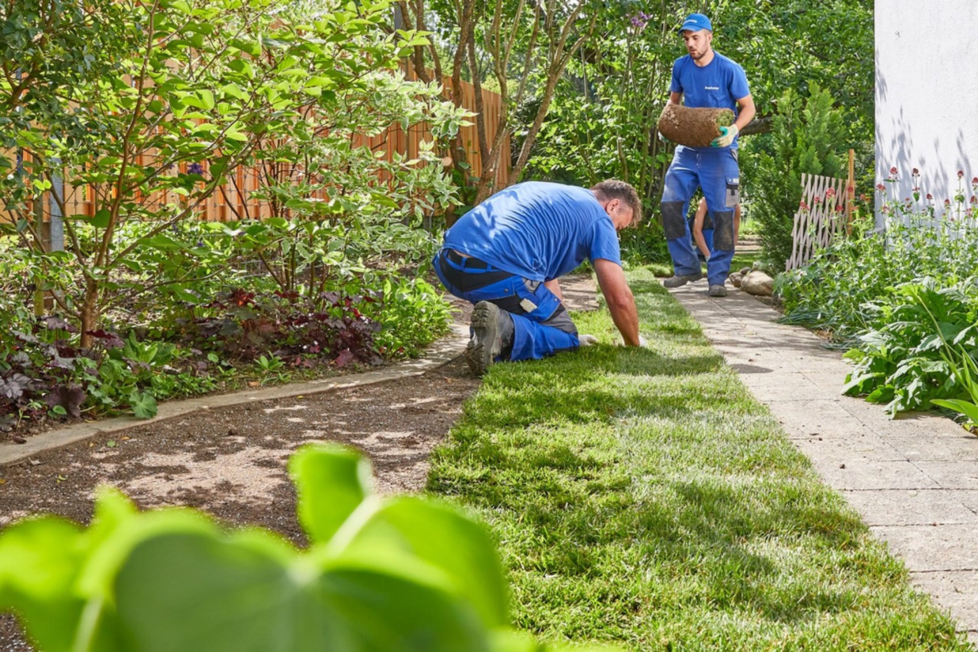 Gartensanierung und Umgestaltung von Gärten | Schoop