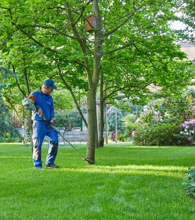 Rasen trimmen Gartenunterhalt