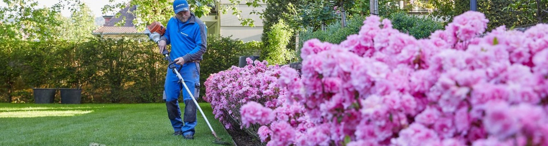Service Abo für die Gartenpflege