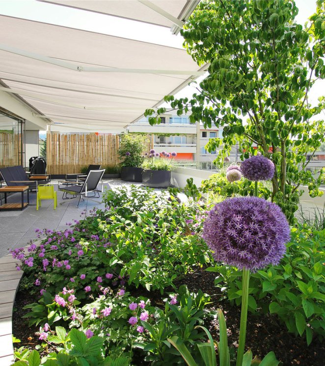 Terrasse Rütihof