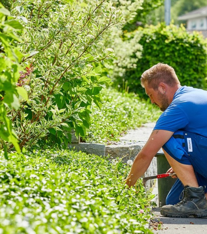 Unkraut jäten Gartenbeet