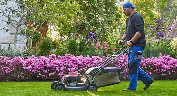 Die Profis für Gartenbau Die Profis für Gartenbau