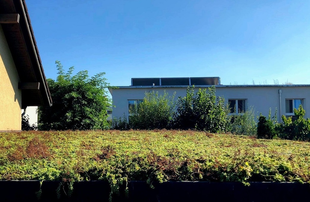 Dachbegrünung Neue Dachbegrünung mit Sedum-Rollmatten